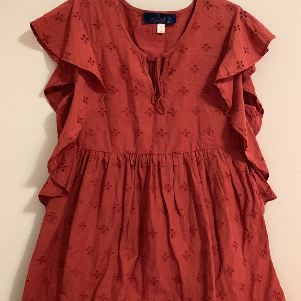 Francesca’s Blue Rain dress - Picture 4 of 8